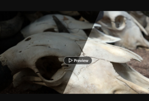 Photoshop: Tips and Quick Fixes (2024)
