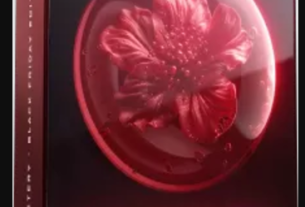 Cymatics Mystery Vol. 17 - RUBY EDITION (BLACK FRIDAY EDITION)