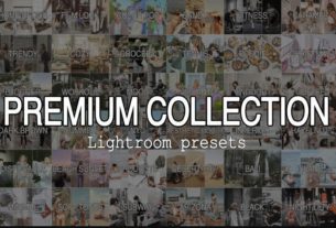 Premium Collection 100 Lightroom Presets