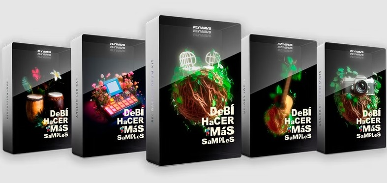 Flywavs DeBi HaCER MaS SaMPLes