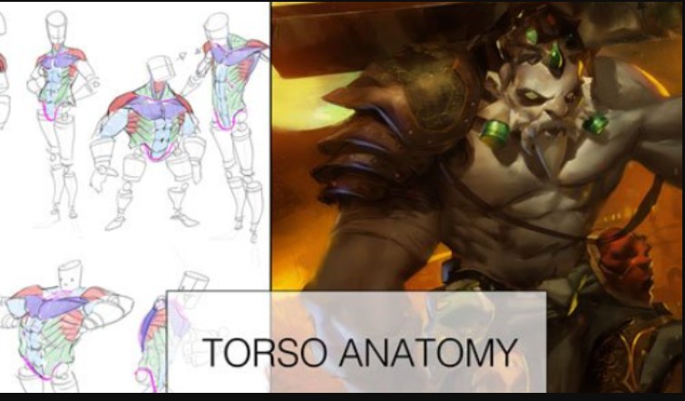 Gumroad –Torso Anatomy Lesson + Painting!