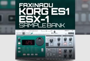 Ocean Swift Faxinadu Korg ES1 ESX-1 Samplebank