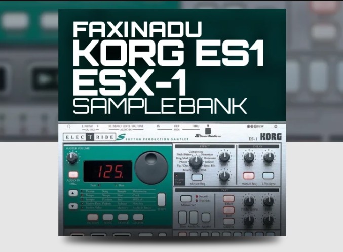 Ocean Swift Faxinadu Korg ES1 ESX-1 Samplebank
