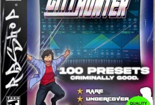 RB Serum Preset Bank City Hunter
