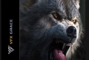 VFX Grace – Blender Animal