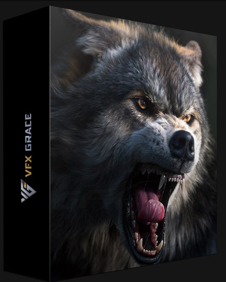 VFX Grace – Blender Animal