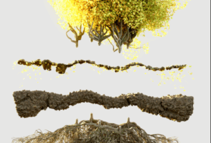 Canopy – Advanced Geometry Nodes for Blender 3.3+