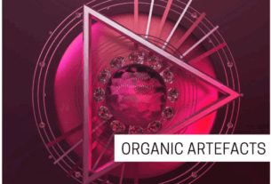 Concept Samples Organic Artefacts