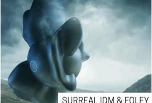 Concept Samples Surreal IDM & Foley