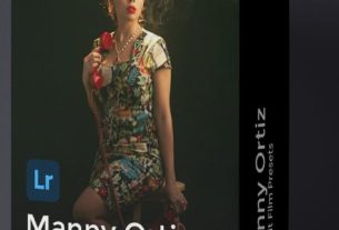 Manny Ortiz – Filmic Portrait Presets V1