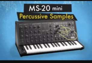 The Sound of Machines MS-20 Mini: Percussive Synth Samples AiFF