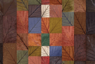 Tony North – Abstracts – Photography Webinar