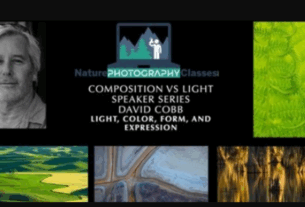 Nature Photography Classes – David Cobb – Light, Color, Form, and Expression